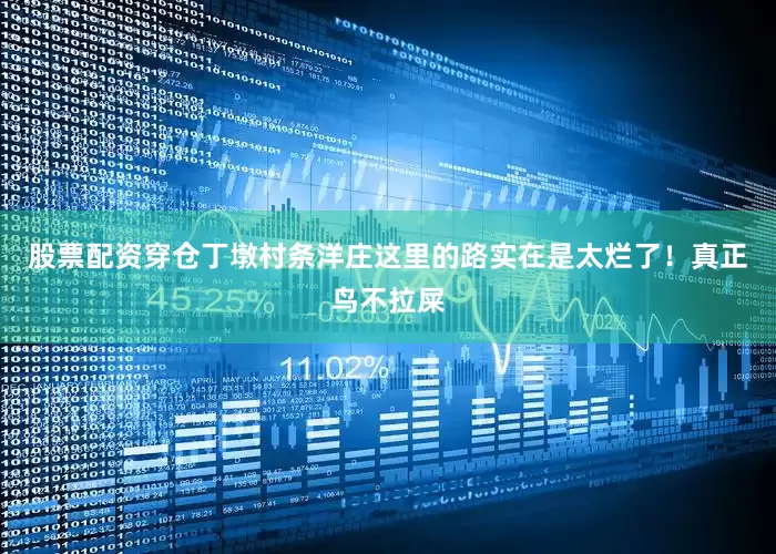 股票配资穿仓丁墩村条洋庄这里的路实在是太烂了！真正鸟不拉屎