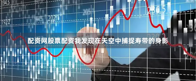 配资网股票配资我发现在天空中捕捉寿带的身影