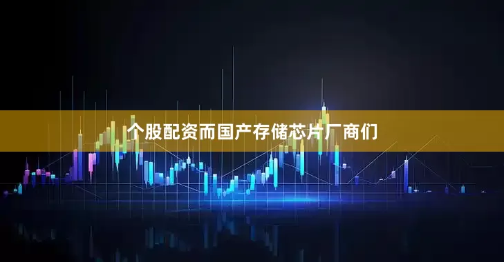 个股配资而国产存储芯片厂商们